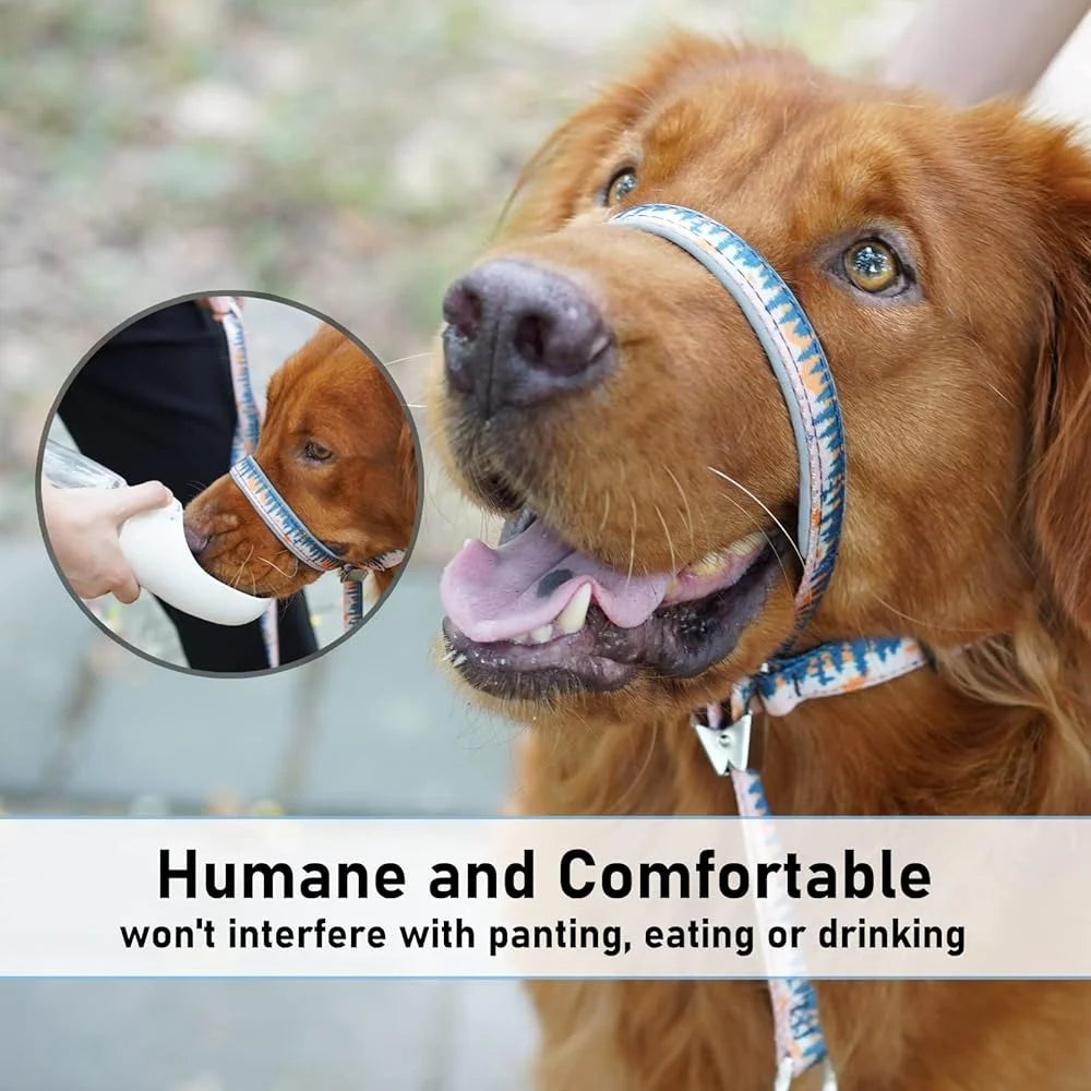 Training Tool for Dog. Head Collar, Anti-Pulling Halter with Leash