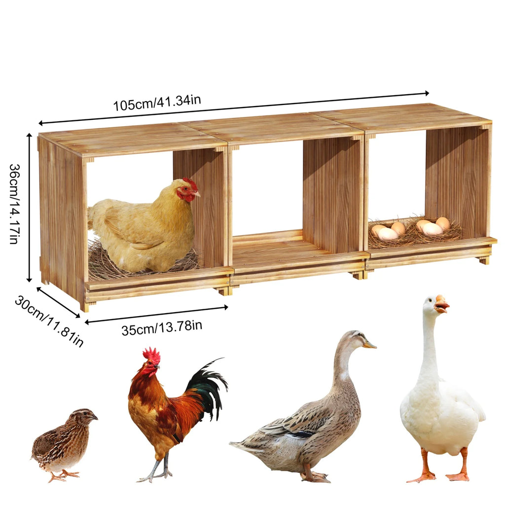 3-Compartment Pine Wood Chicken Nesting Box