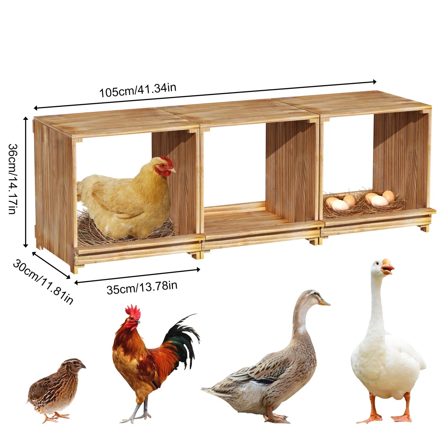 3-Compartment Pine Wood Chicken Nesting Box