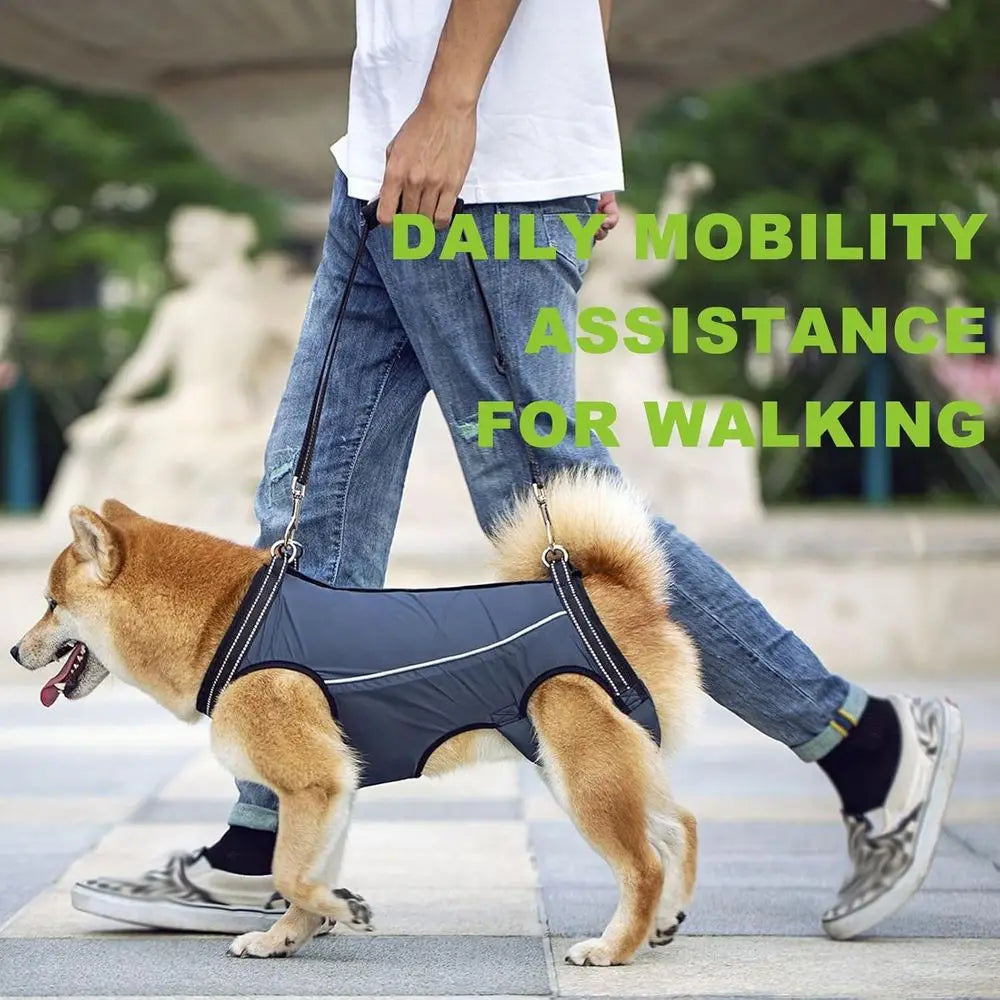 Supportive Harness for Small to Medium Dogs