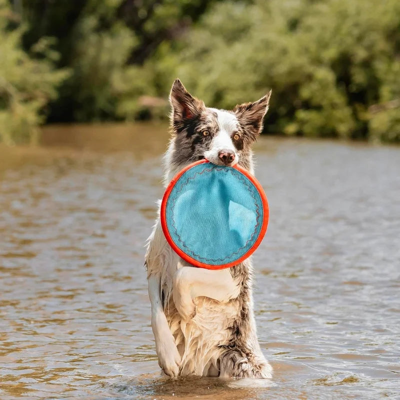 Paraflight Flying Dog Disc,  Soft Rubber Edges