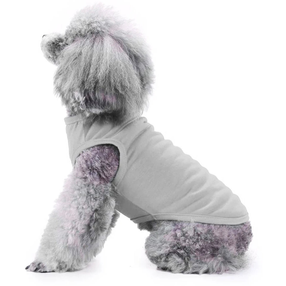 Dog Shirt Clothes, Spring/Summer T- Shirt Apparel