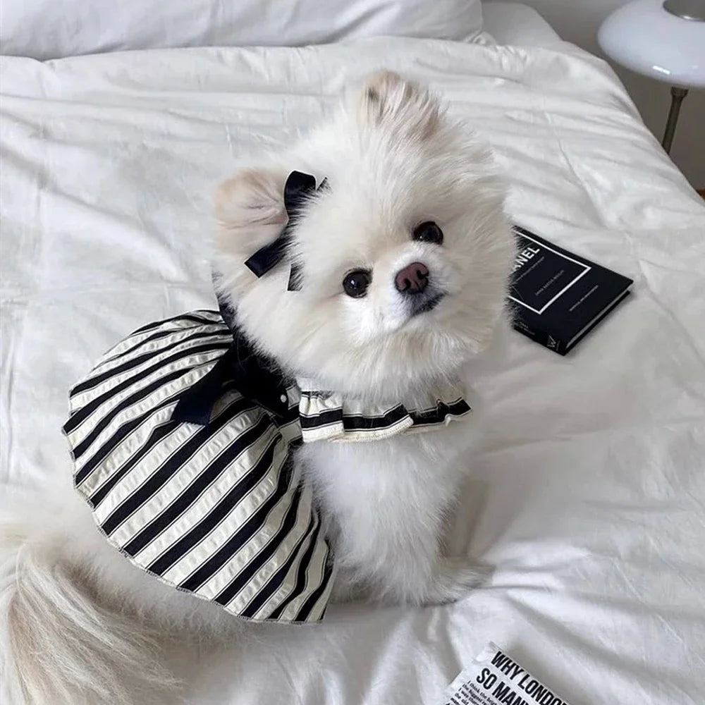Big Bow Striped Small Dog Princess Dress