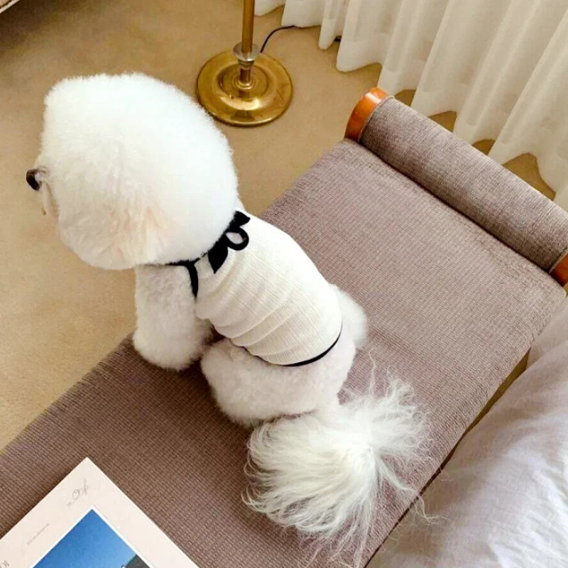 Luxury Dog Clothes Bow Striped Print