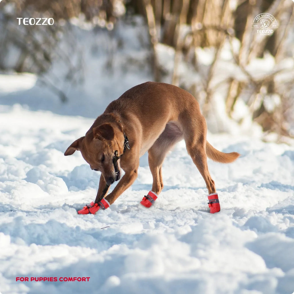 Dog Shoes That Don't Fall Off, Breathable Soft-Soled Shoes, Non-Slip Walking Shoes