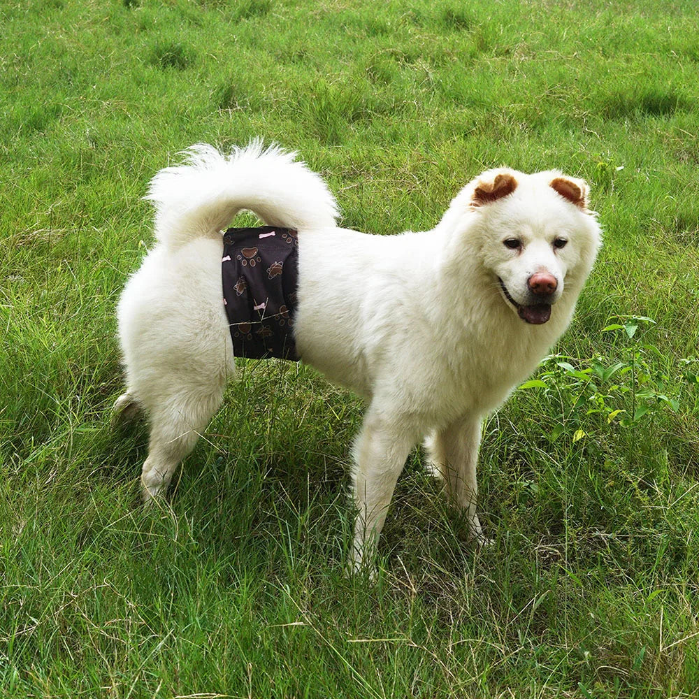 1pc Durable Washable Male Dog Diaper Wraps