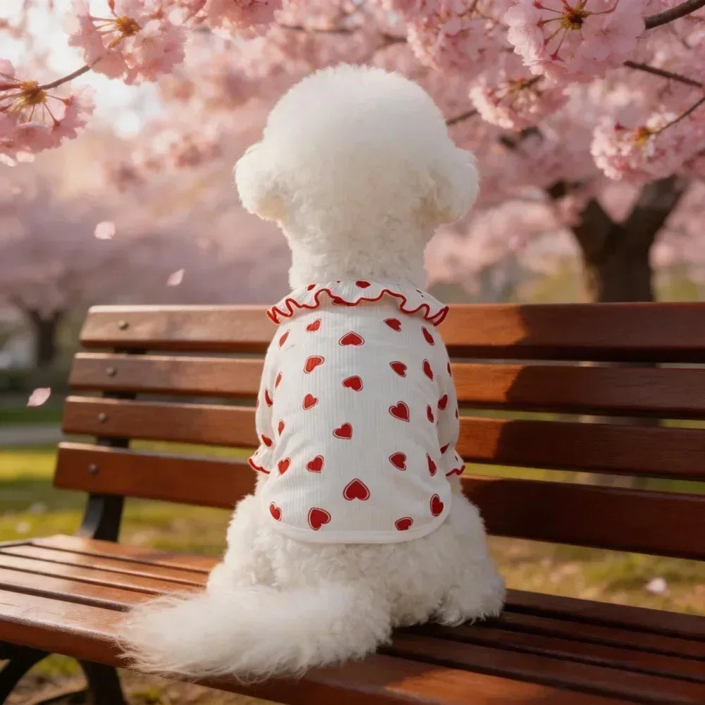 Clothes for Small Dogs/Cats Ruffle Collar