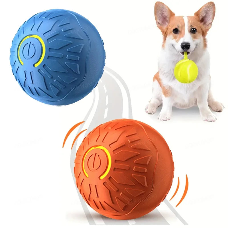 Smart Pet Toy Ball Automatic, Interactive, Rechargeable