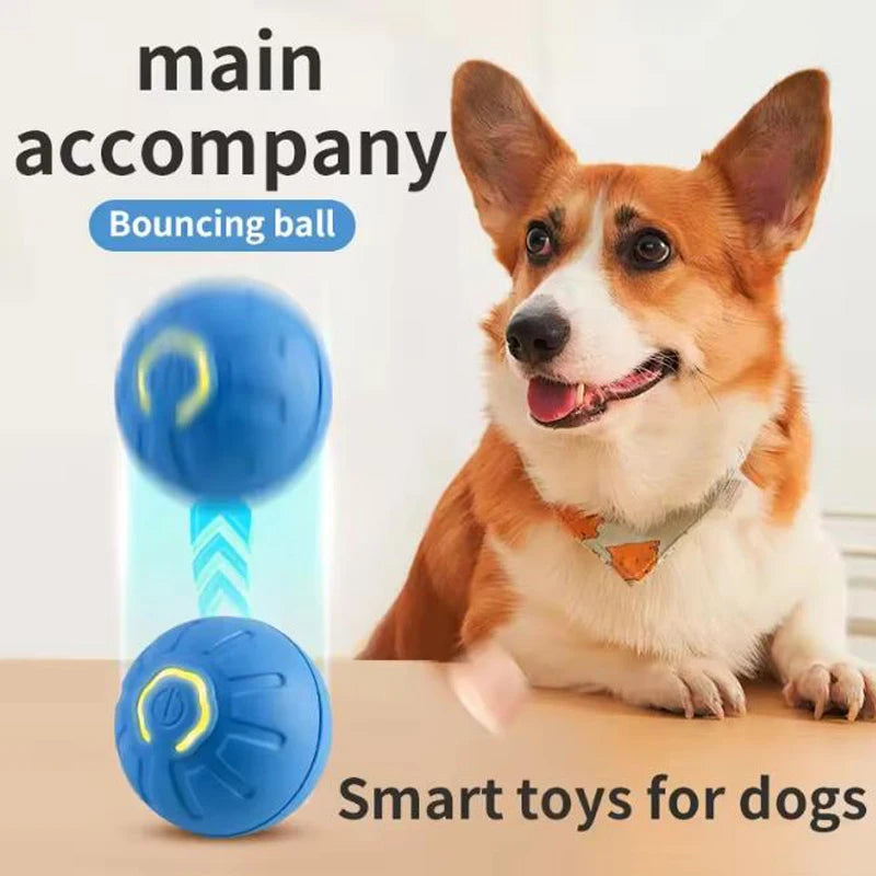 Electronic, Intelligent, Interactive Pet Toy Ball