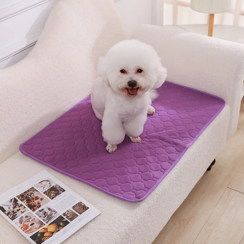 Dog Pee Pad Blanket Reusable, Absorbent Diaper