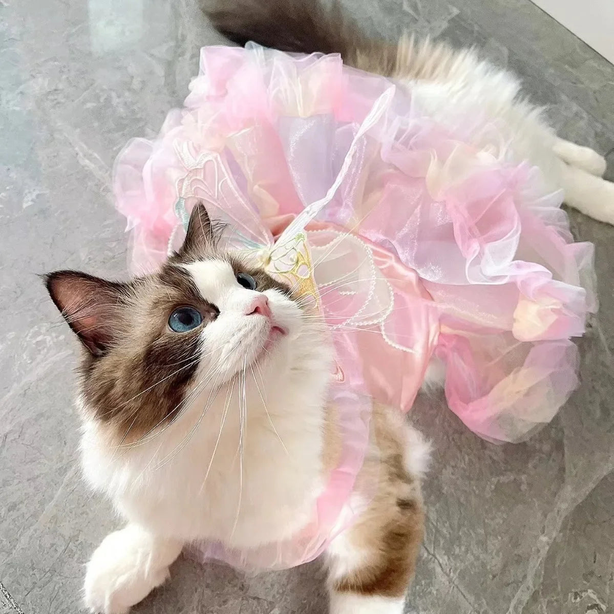 Dog /Cat Spring Princess Dress, Lace Skirt
