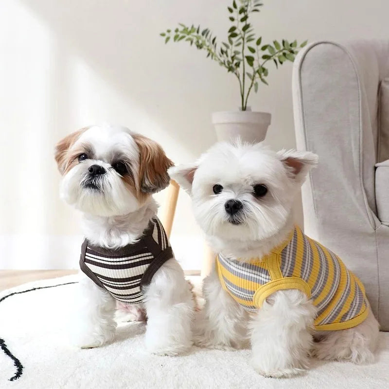 Summer Pet Clothes Bear Print Striped Shirts  Thin Vest Puppy Cat Soft Vest Fashion Pet Costume French Bulldog Clothes