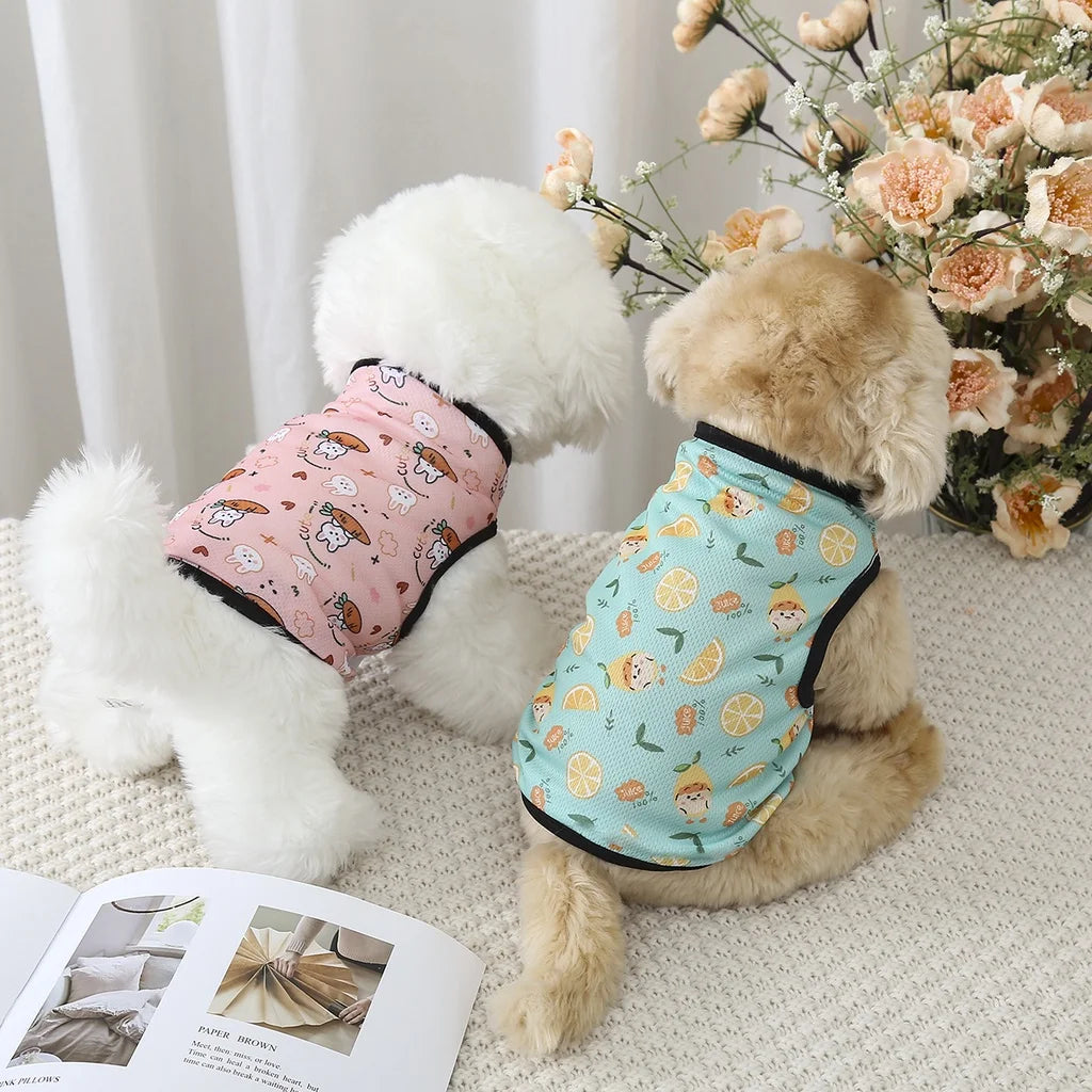 Cute Breathable Cartoon Pet Costume Print