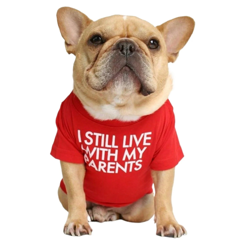 1pcs Letter Printed T-shirts