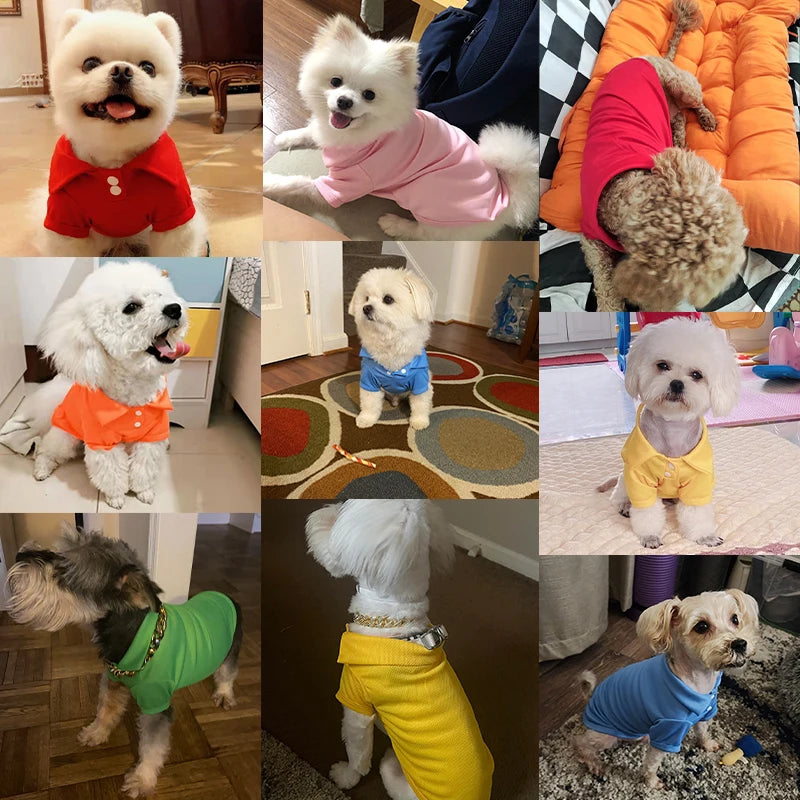 Summer Pet Vest, 6 Candy Color Shirts