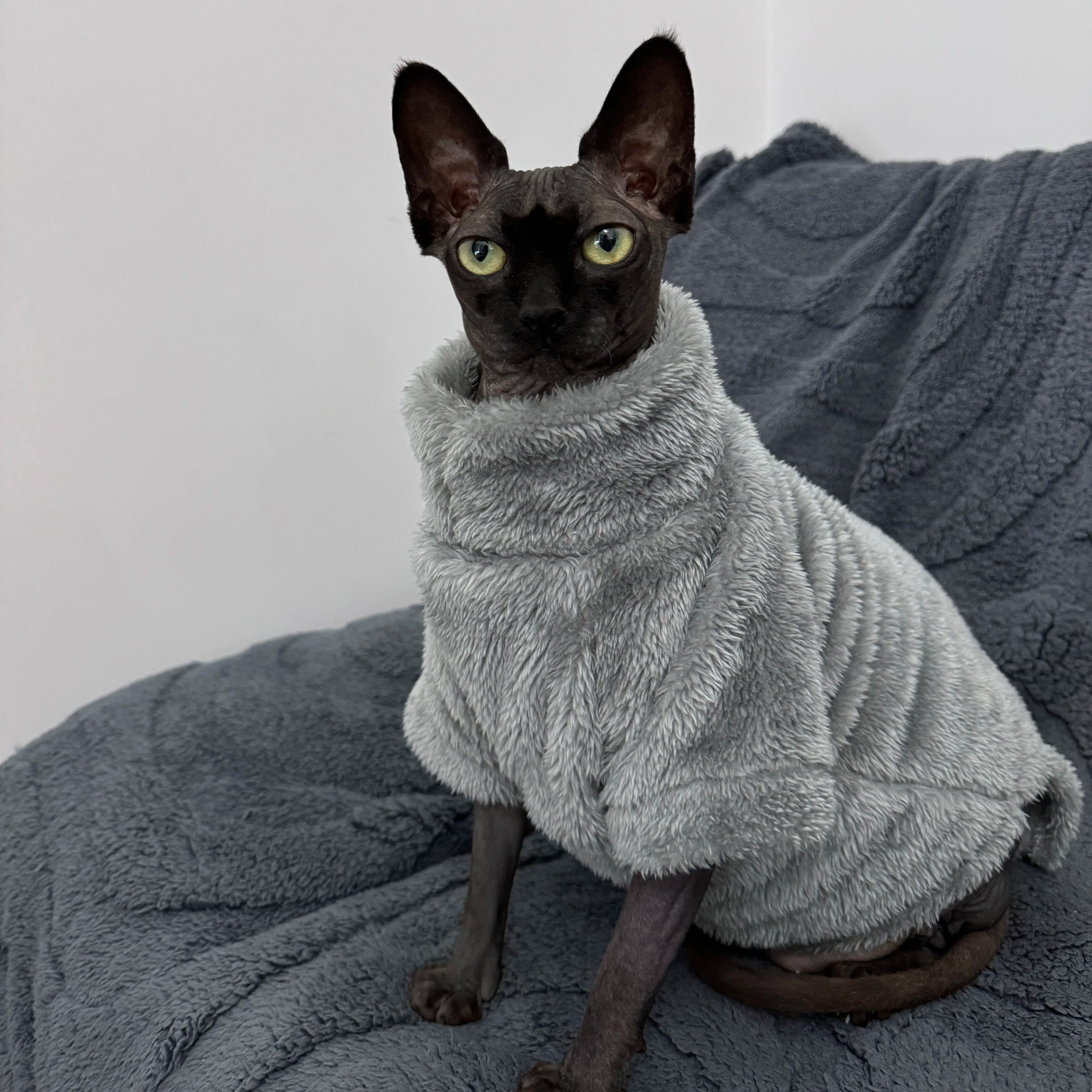 Pet Cat Sweater Home Fur for Devonshire Cats, Hairless Cats