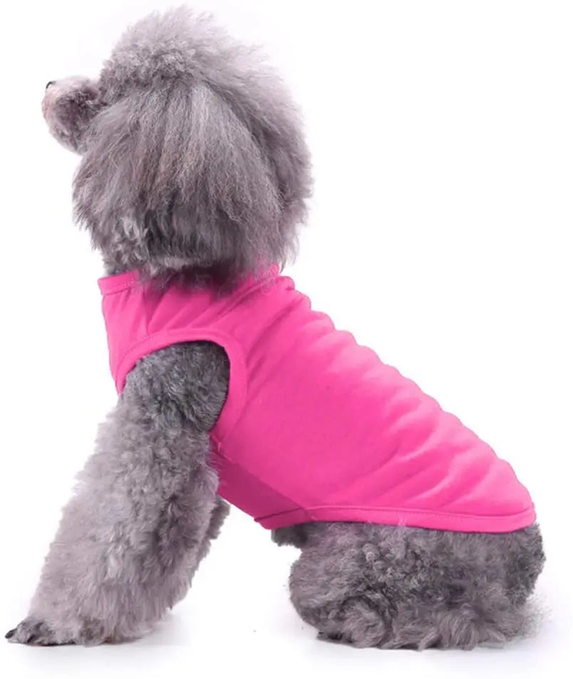 Dog Shirt Clothes, Spring/Summer T- Shirt Apparel