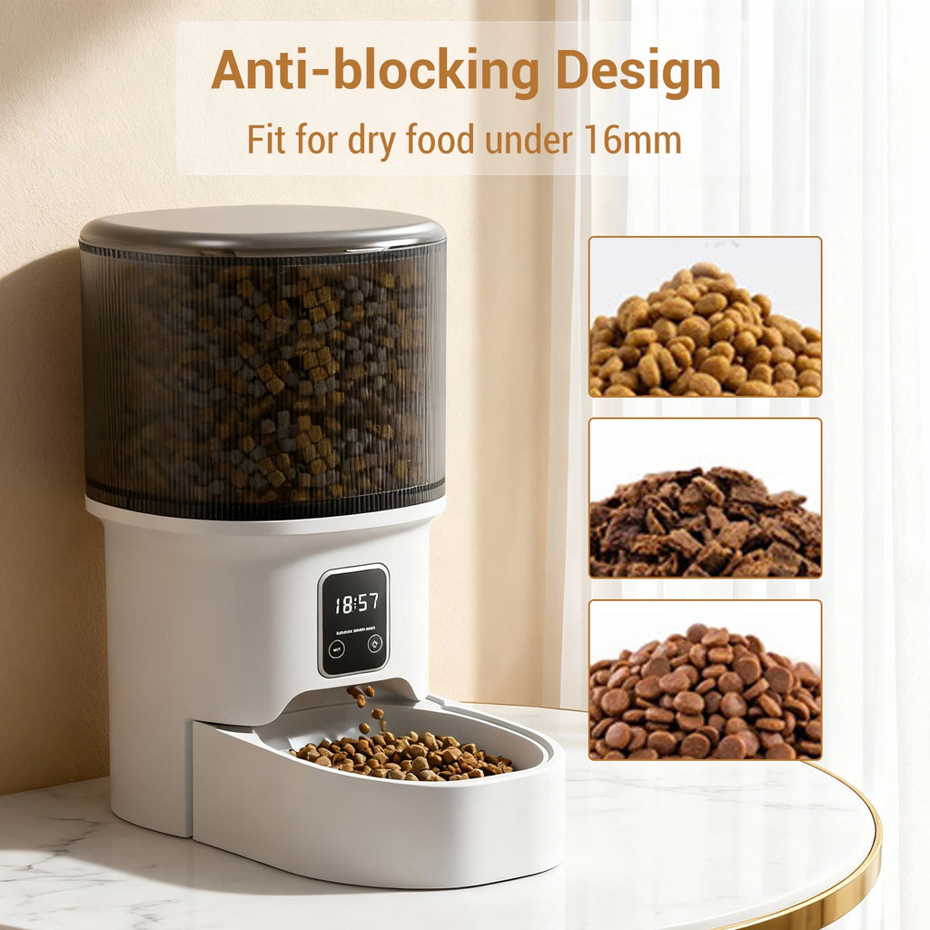 Programmable 4L Automatic Pet Feeder For Small Cats