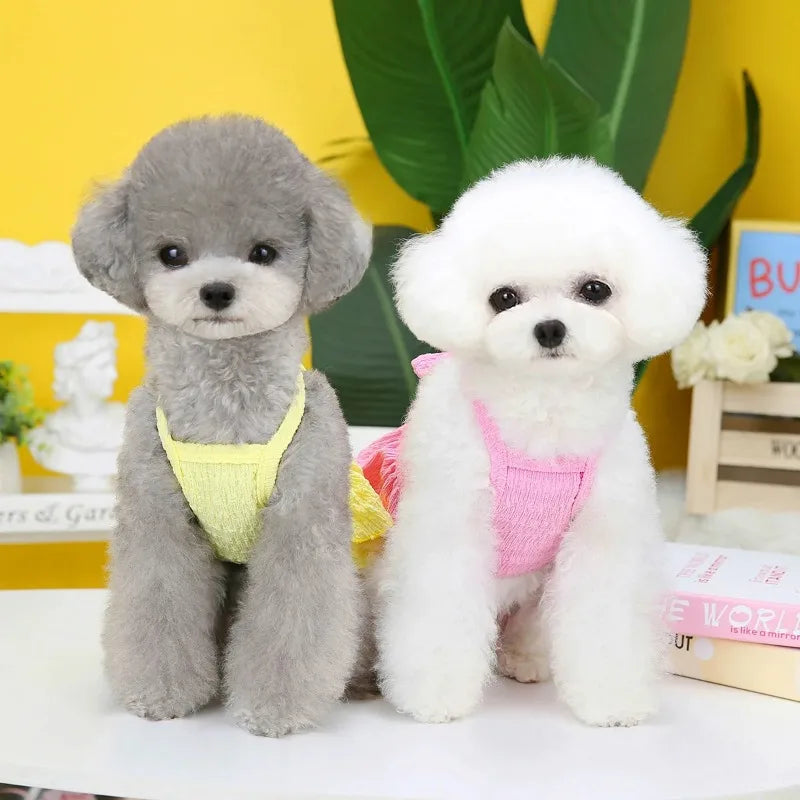 Spring Clothes Dog/Cat Princess Dresses