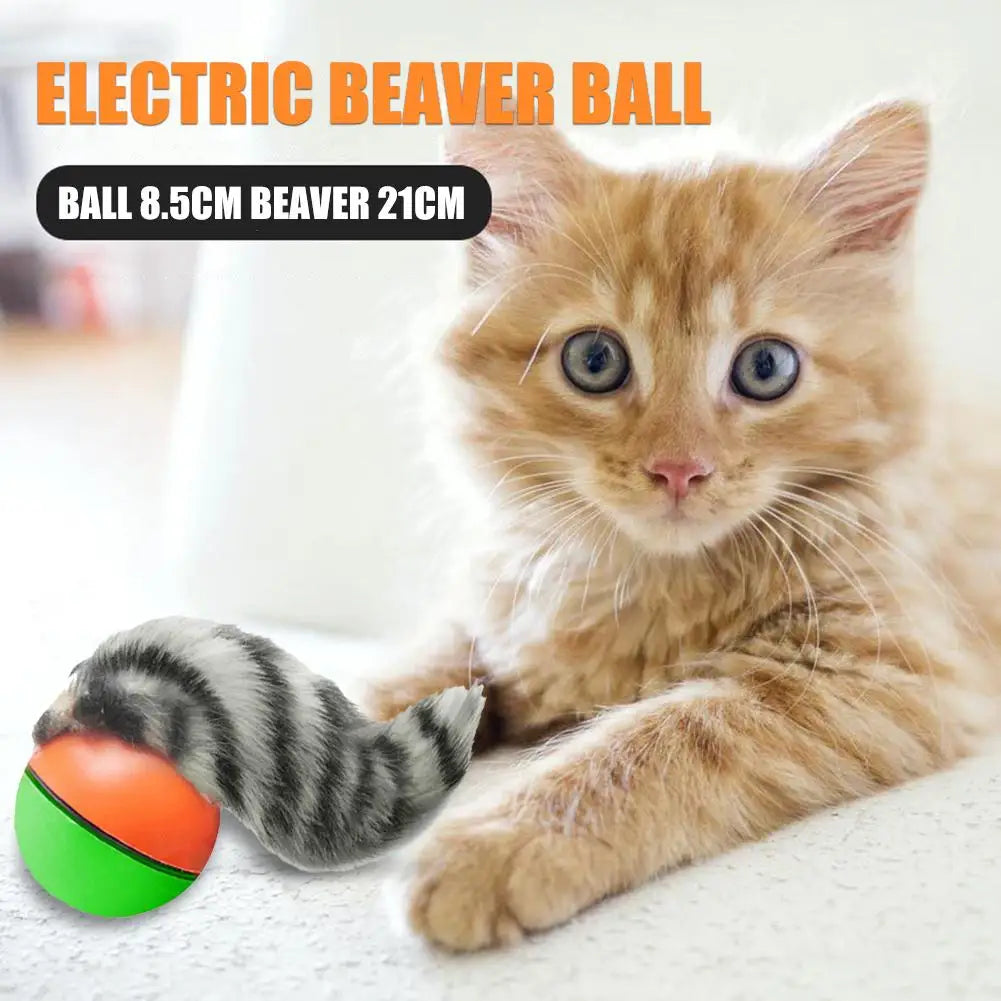 Electric Beaver Weasel Rolling Ball For Cats
