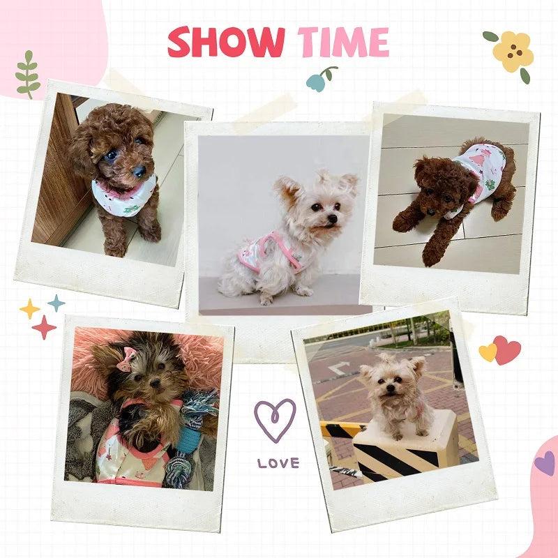 Summer Dog Vest, Breathable Thin T-Shirt