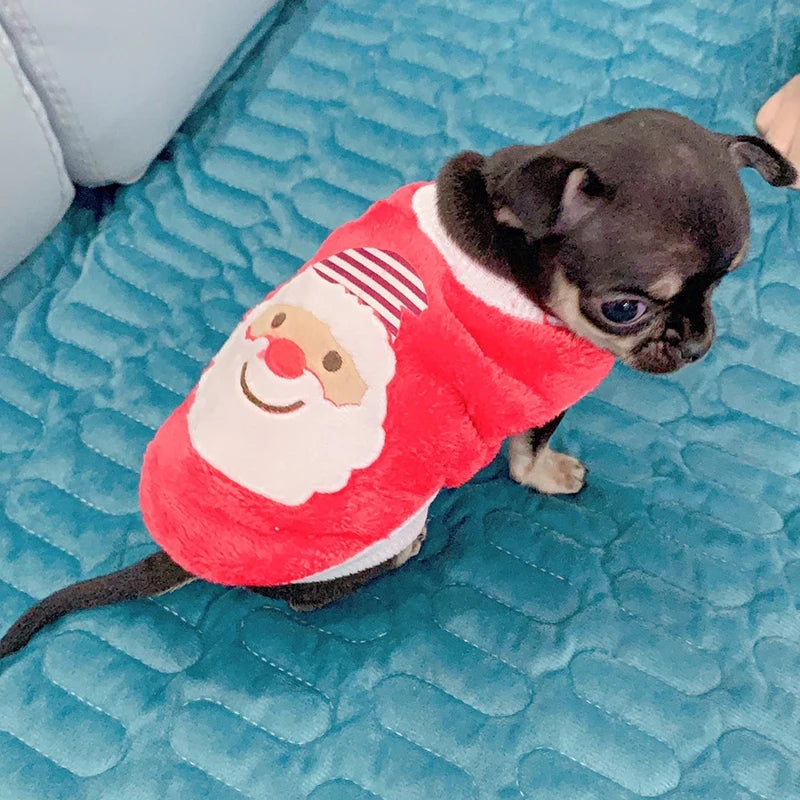 Cute Print Tea Cup Winter Dog Sweater