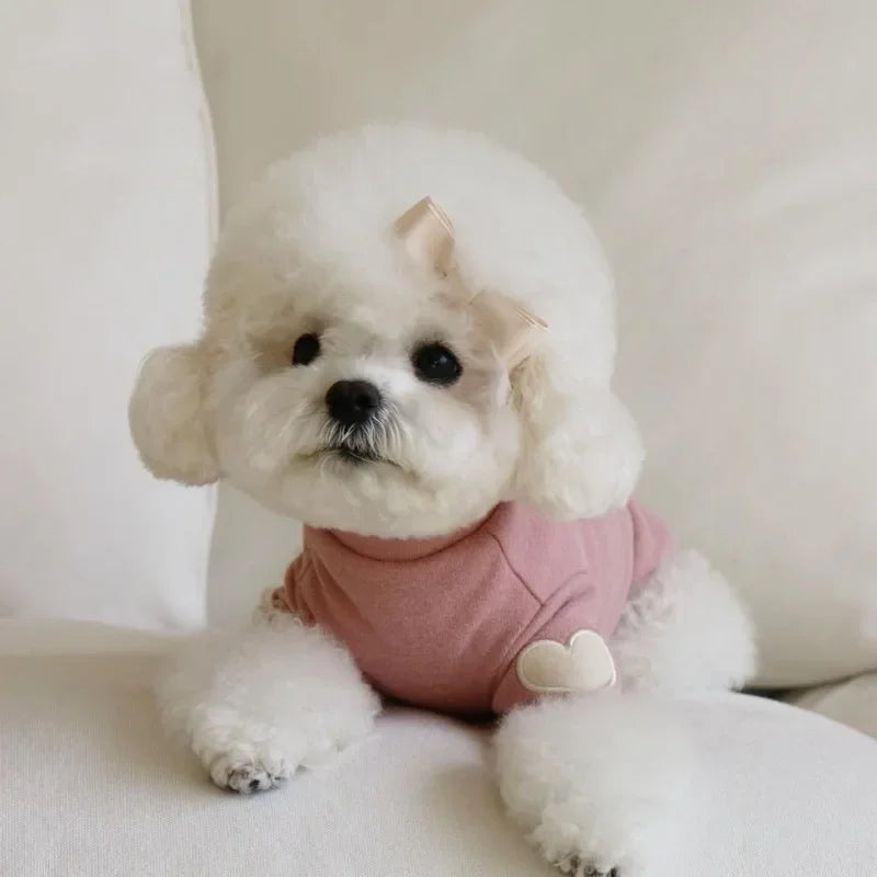 Love Winter Warm Pet Clothes