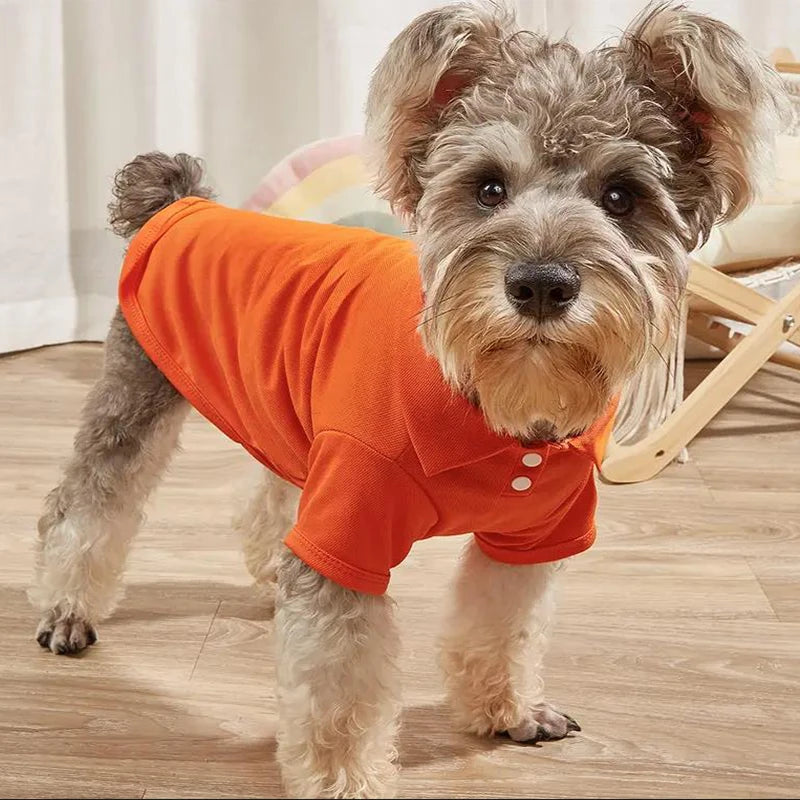 Summer Pet Vest, 6 Candy Color Shirts