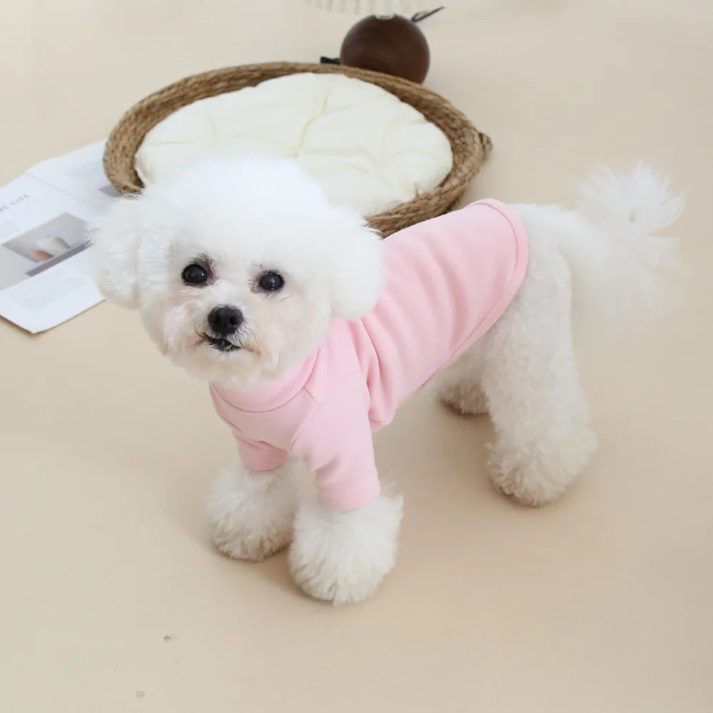Autumn and Winter Pet Solid Color Warm Hoodie