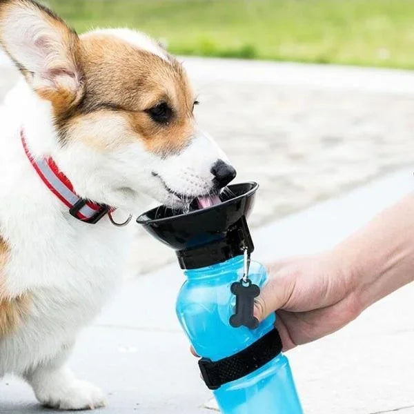 500ml Outdoor Portable Pet Dog Water Bottle