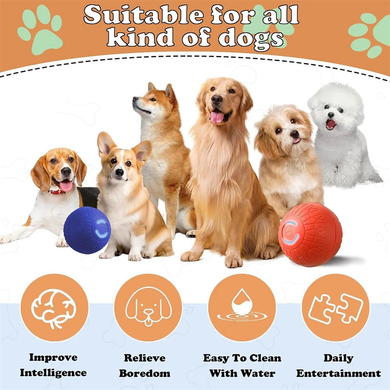 Smart Pet Toy Ball Automatic, Interactive, Rechargeable