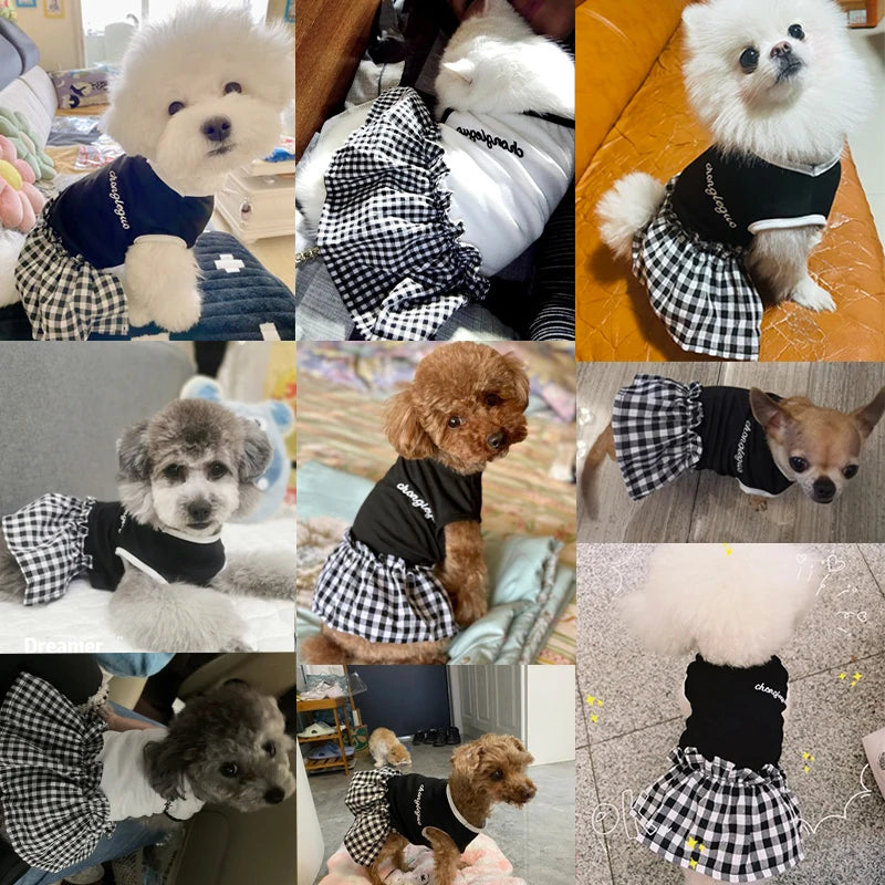 Summer Pet Dress Simple Plaid Luxury Skirts