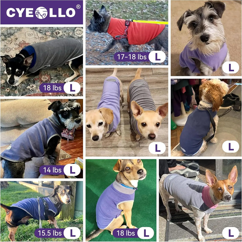 2 Pack Fleece Dog Sweater, Stretchy Pullover Soft Jacket