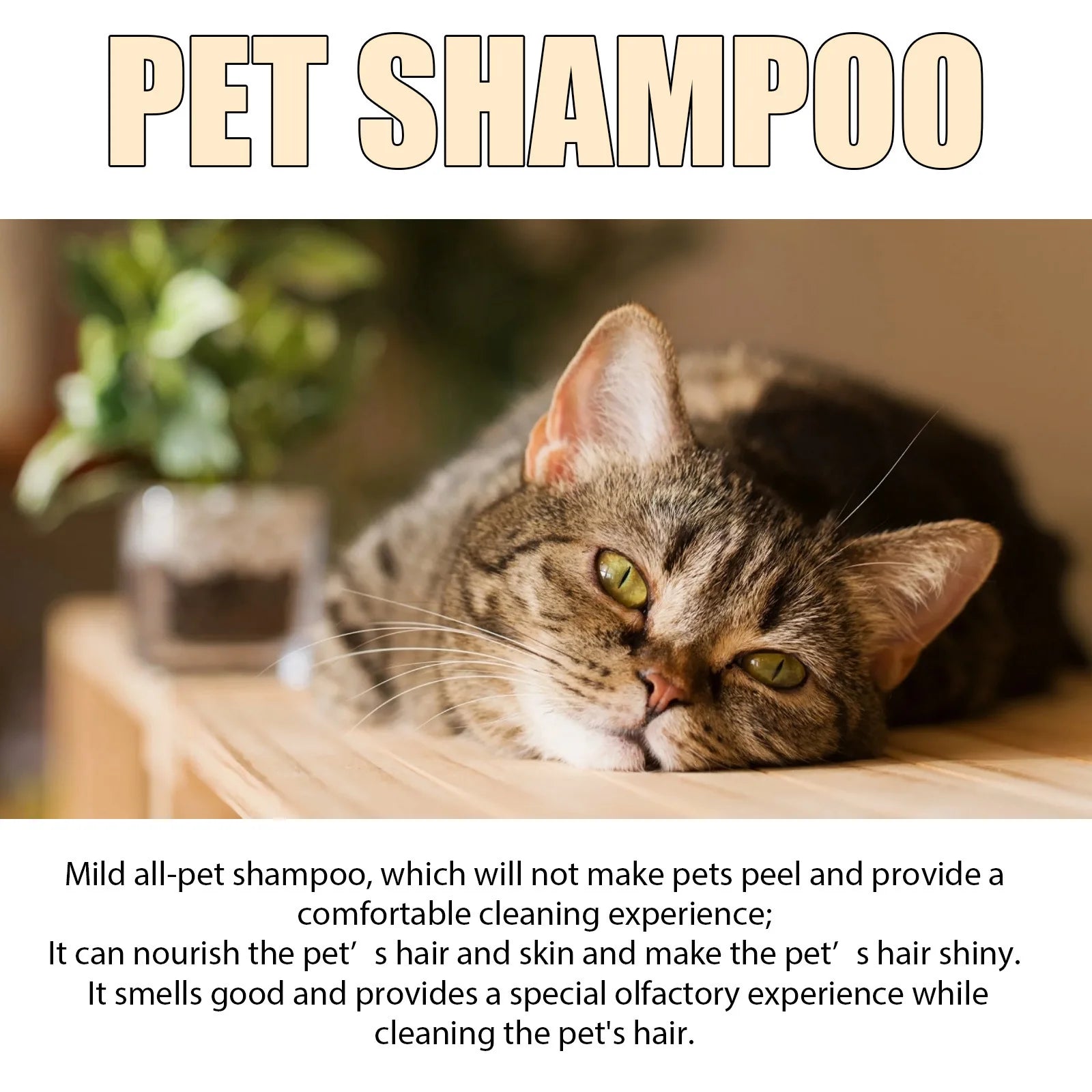 Dog Wash Shampoo