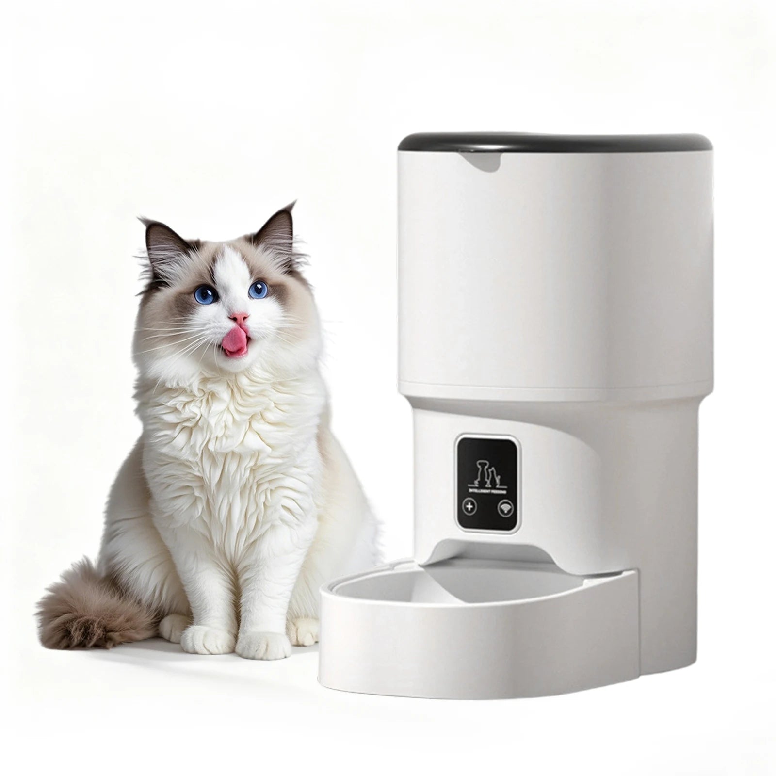 Programmable 4L Automatic Pet Feeder For Small Cats