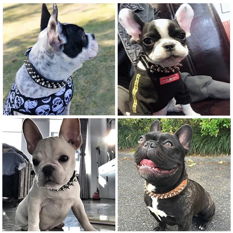 Adjustable Leather Dog Collar For Small Pets