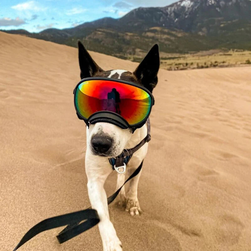 Dog Goggles Anti-UV Sun Glasses