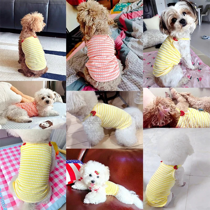 Fashion Dog/Cat Vest, Suspender Dog/Cat Vest