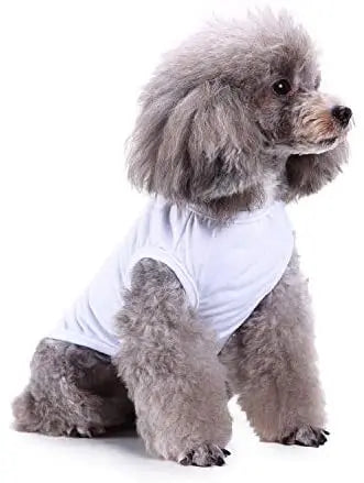 Dog Shirt Clothes, Spring/Summer T- Shirt Apparel