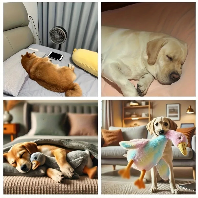 50cm Colorful Plush Toy for Cats/Dogs
