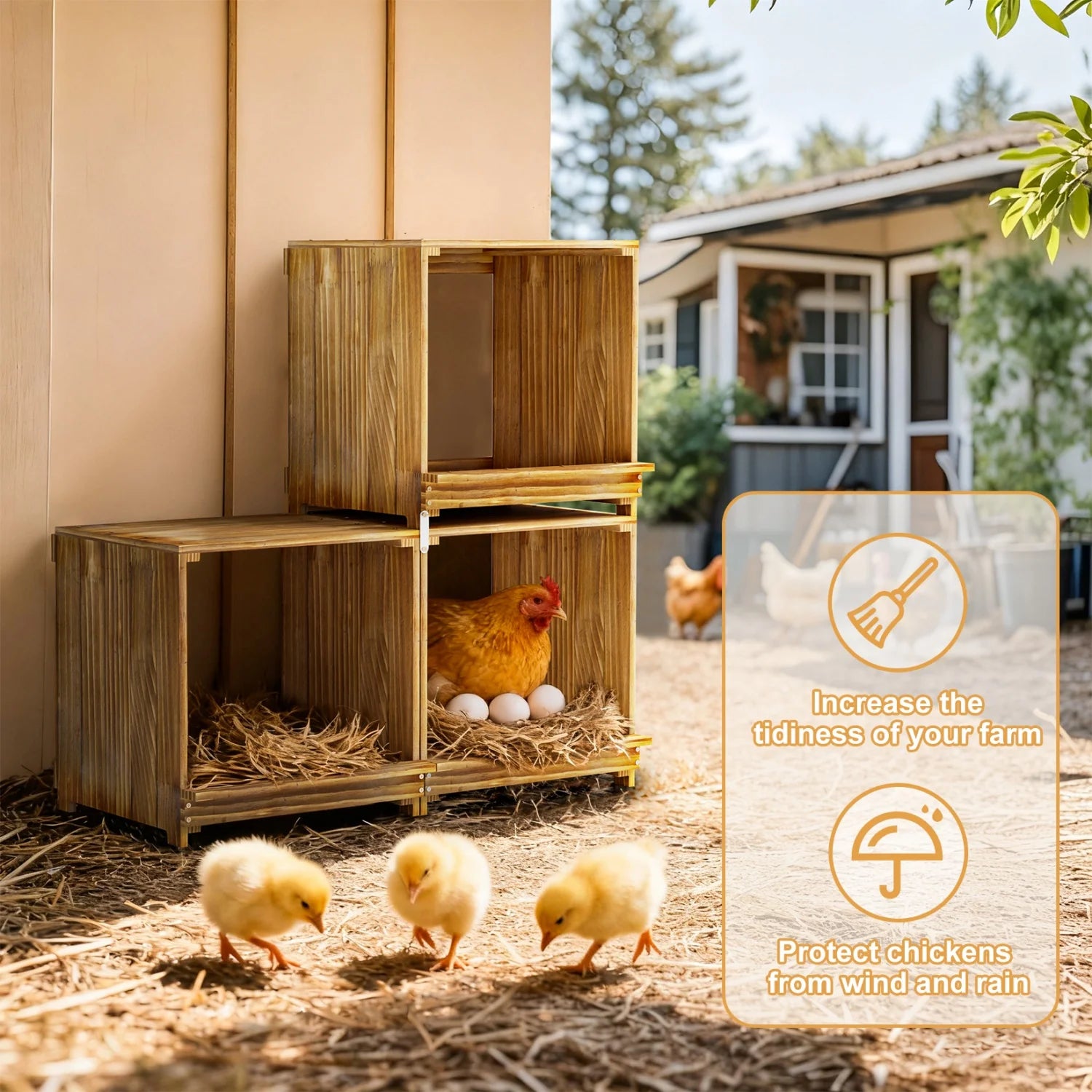 3-Compartment Pine Wood Chicken Nesting Box