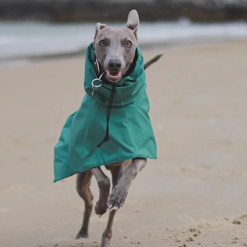 Waterproof Dog Raincoat, Luxury Whippet Greyhound Dog Raincoats Jacket Doberman Pinscher Raincoat Outdoor Walking