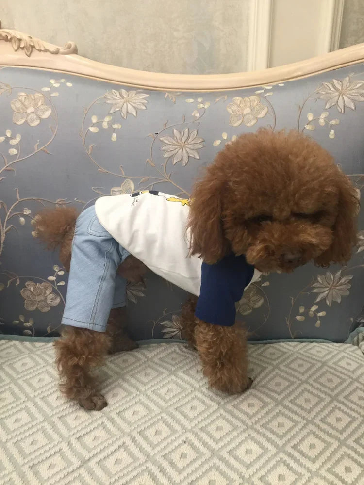 2024 New Denim Pet Dog Overalls