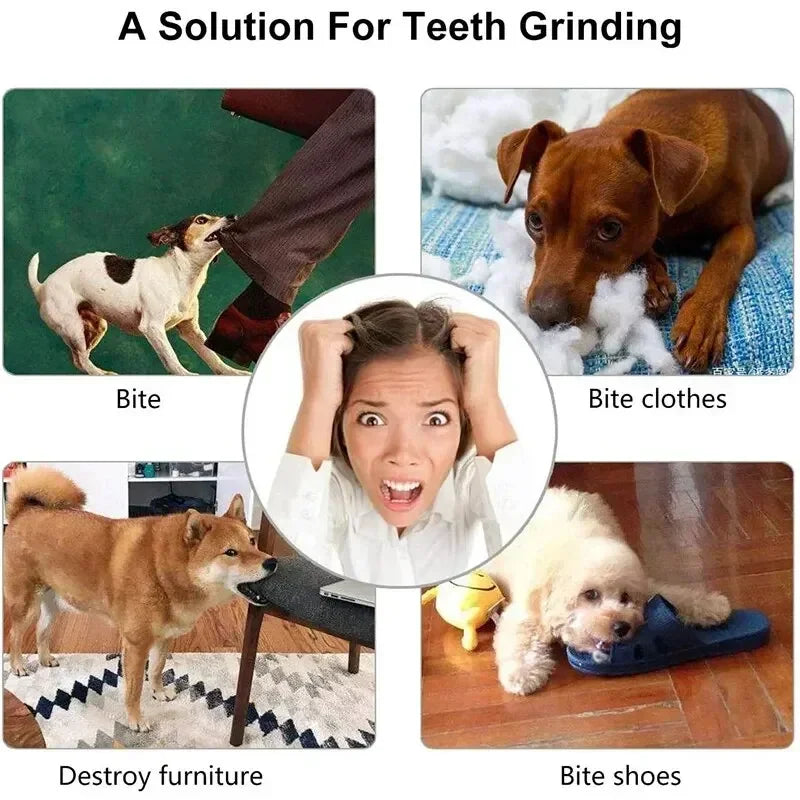 Nontoxic Bite Resistant Toy Ball for Pets