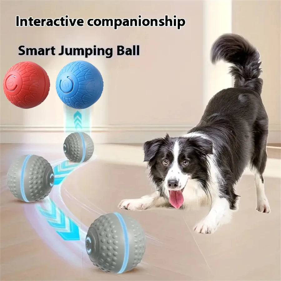 Smart Pet Toy Ball Automatic, Interactive, Rechargeable