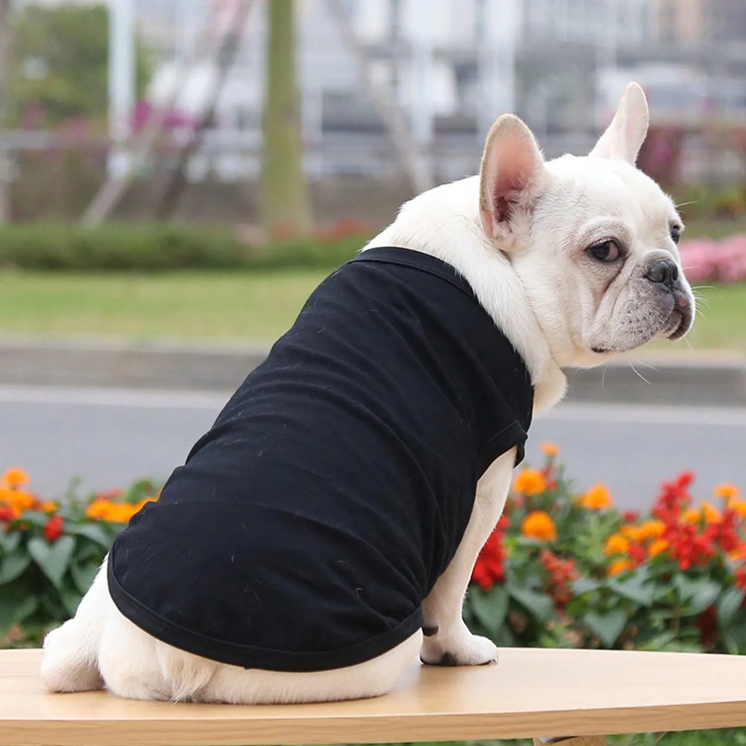 1pcs Pet Clothes for Small/ Medium Dogs