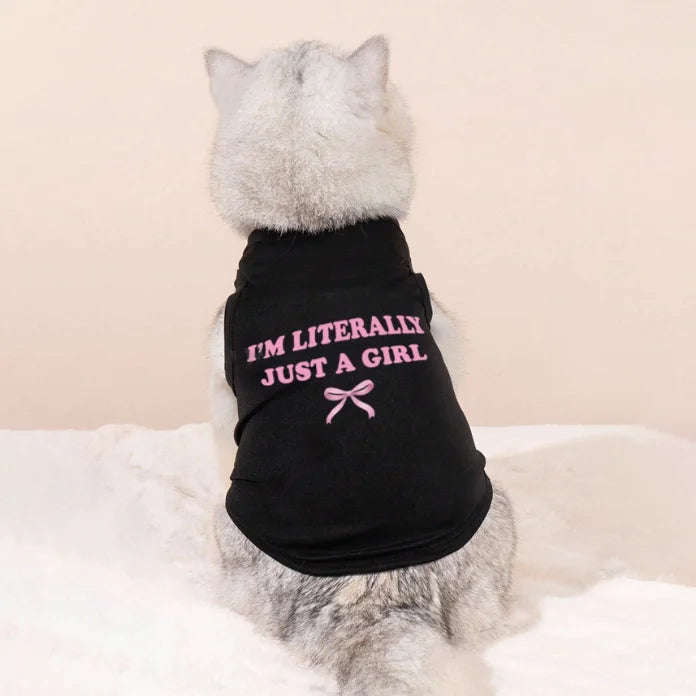 1pc Spring New Minimalist Letter Printed Pet Vest