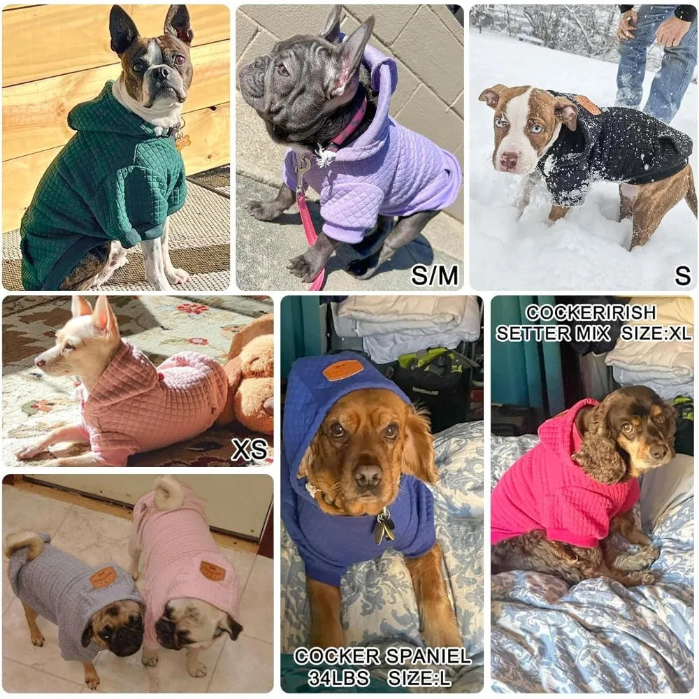 Dog Hoodie for Small Medium Large Dogs