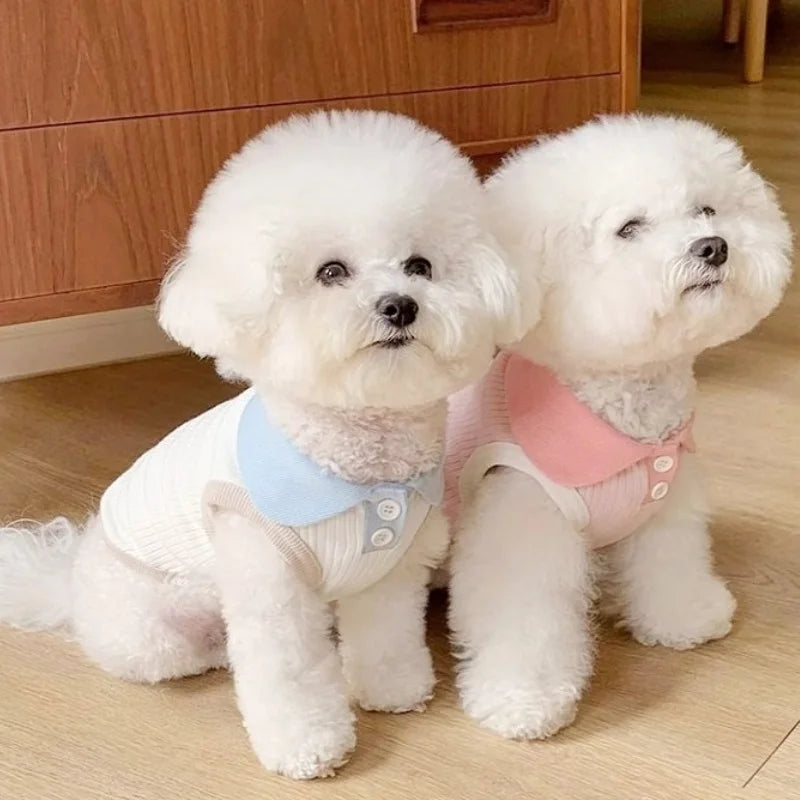 Summer Pet Polo Shirt, Breathable Cute Fashion Vest          Cute Solid Cat Shirt Soft Pet Costumes Chihuahua Dog Clothes