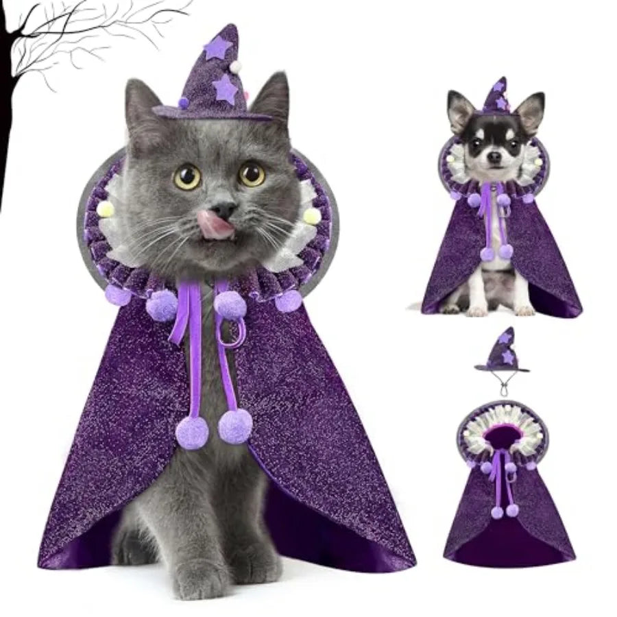 Pet Halloween Costume with Hat
